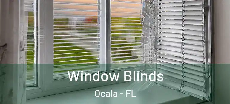  Window Blinds Ocala - FL
