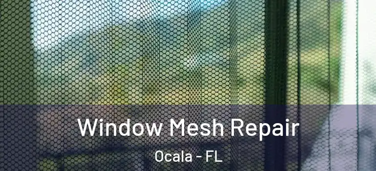 Window Mesh Repair Ocala - FL